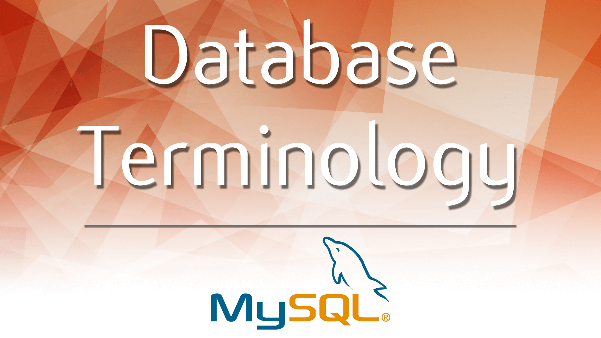 Basic database terminology a begginers guide 365 data science