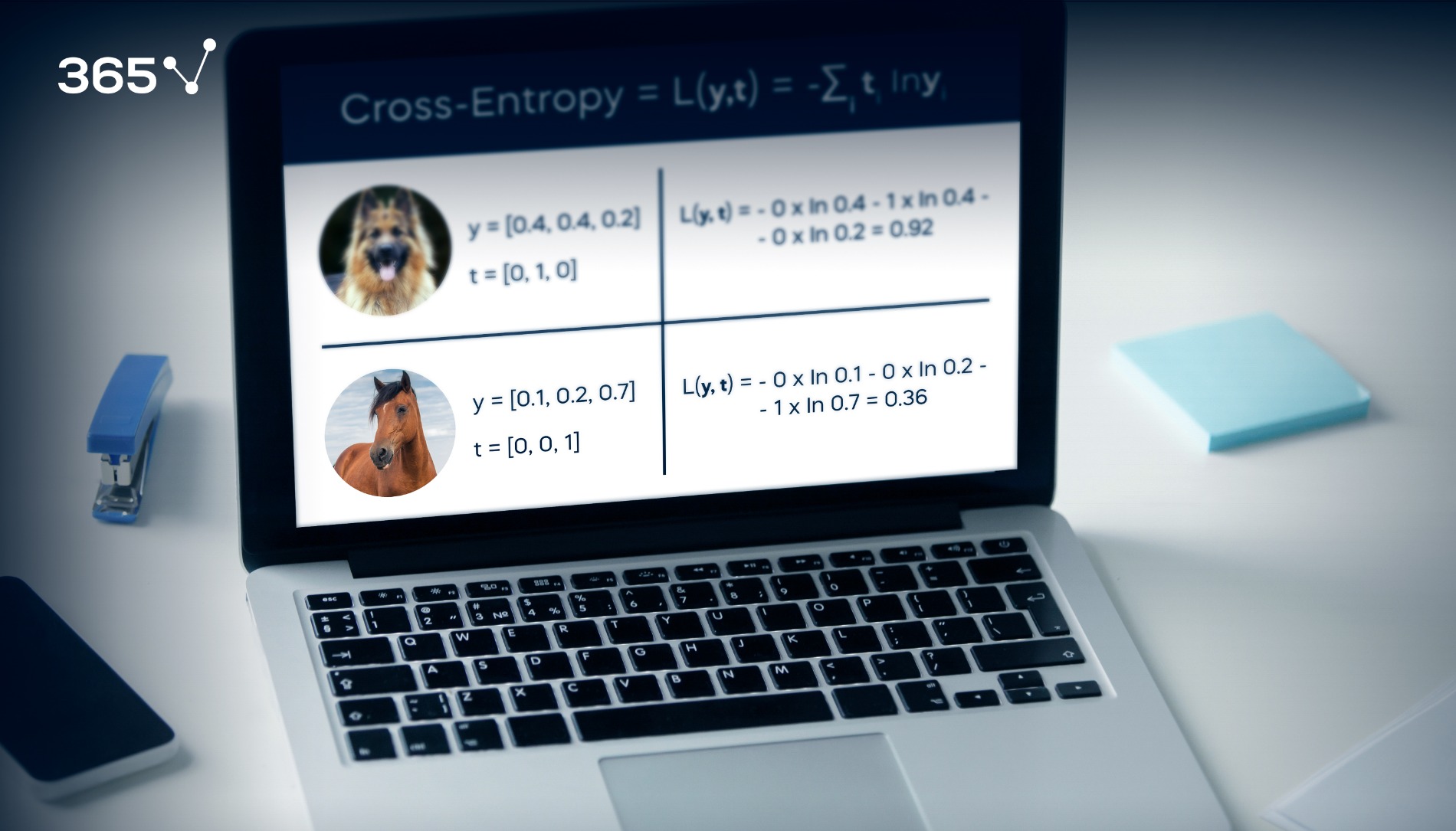 what-is-cross-entropy-loss-function-365-data-science