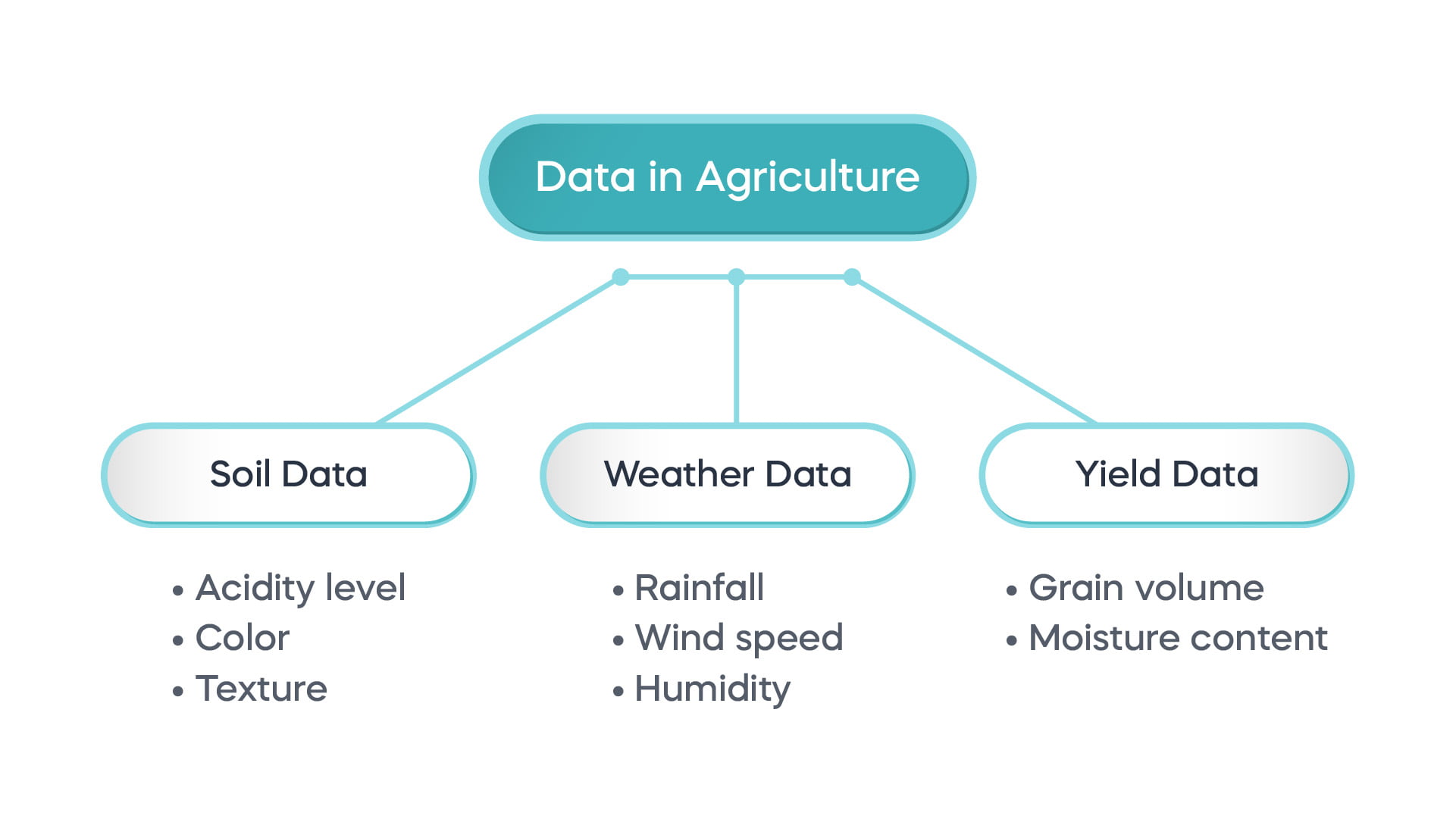 What Is a Data Scientist and What Do They Do? - Forage