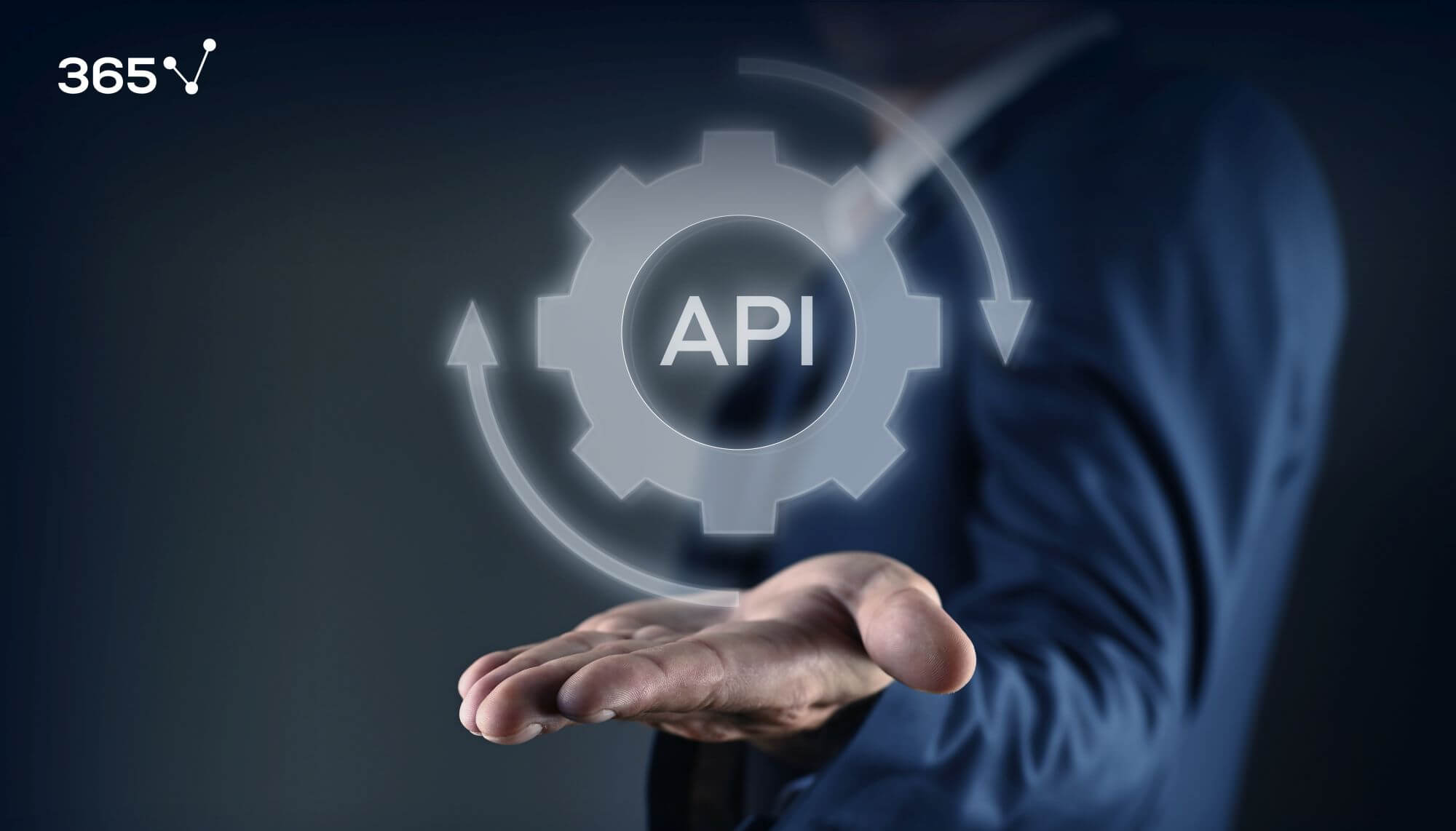 What Is an API? – 365 Data Science
