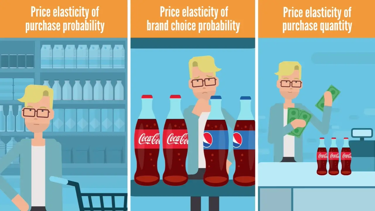 The three economic outcomes of price elasticity: purchase probability, brand choice probability, and purchase quantity.