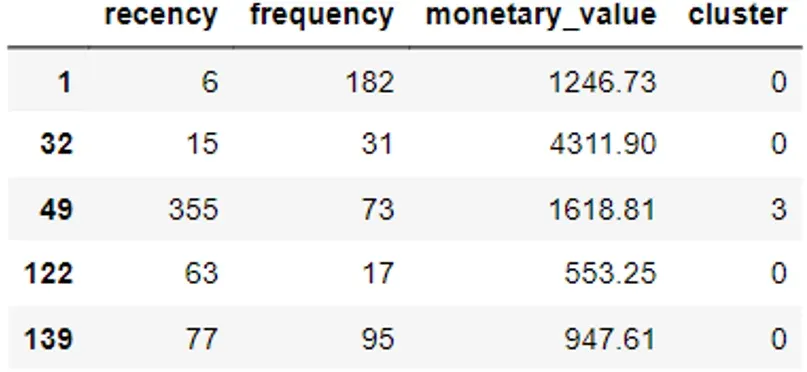 The head of a dataframe in a complete customer segmentation model