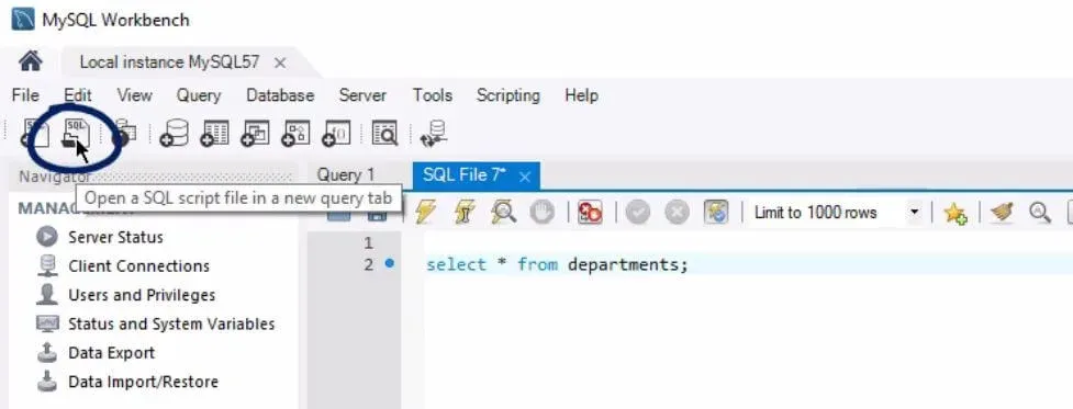 Second button opens a SQL script file in a new query