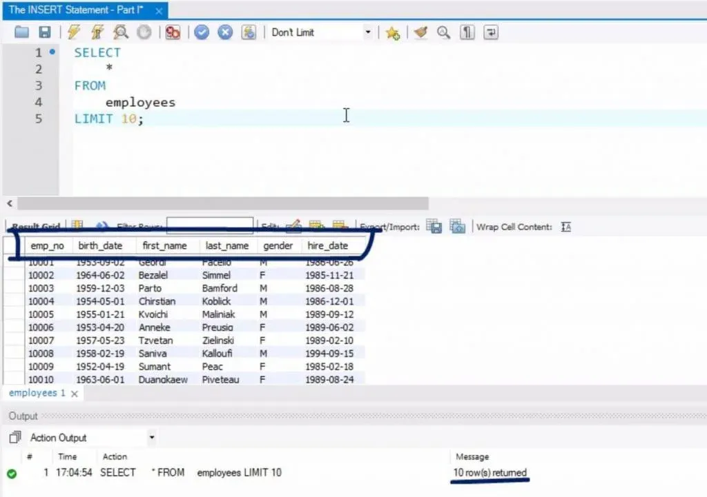 10 rows returned, sql insert statement