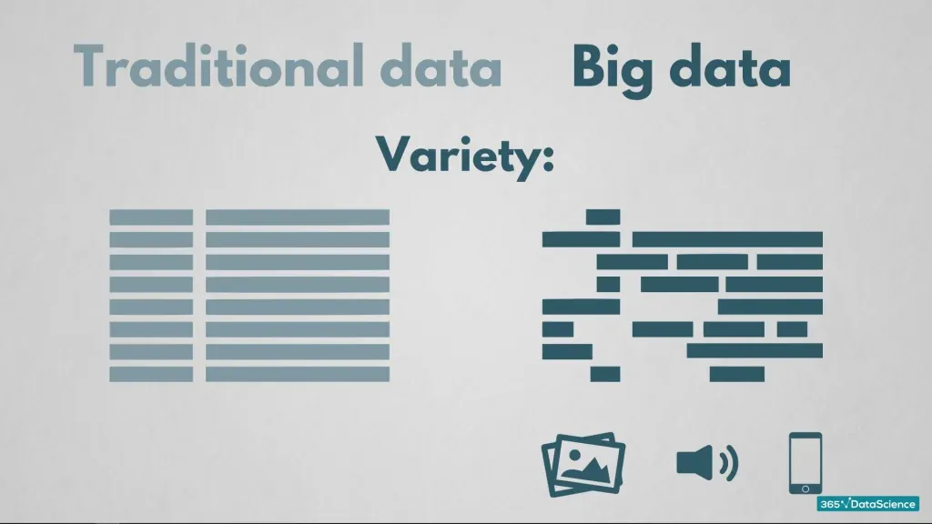 Variety of traditional data and big data