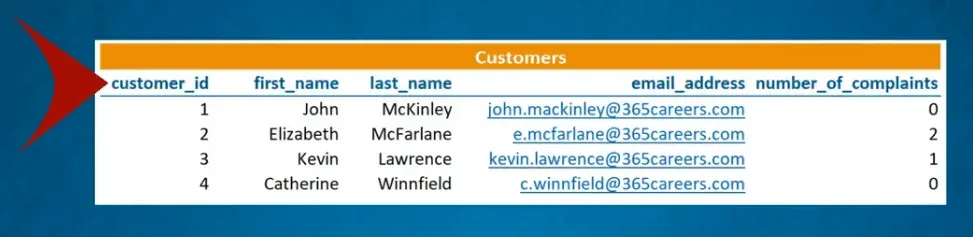 A data table with a customers details