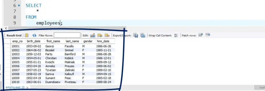 Selecting * shows you all the date from employees, operators in sql