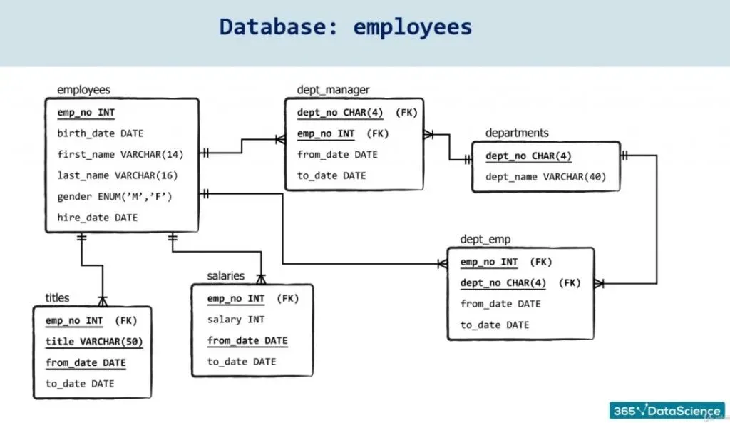 database employees, set up a database in sql
