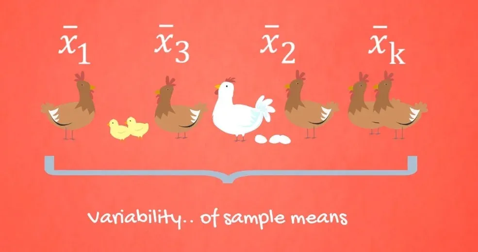 Variability of sample means