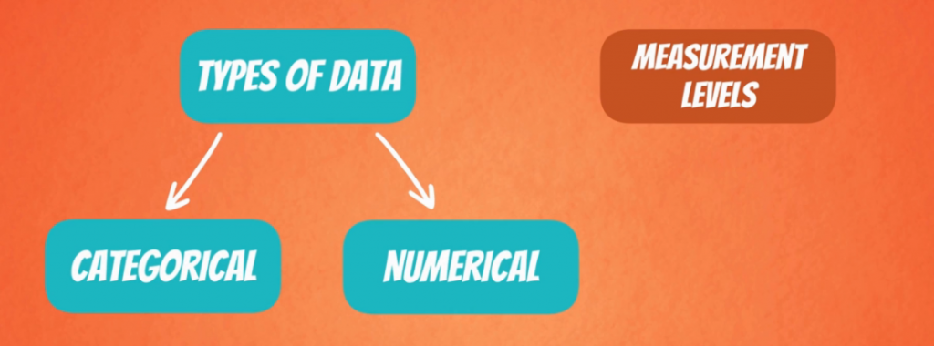 Numerical and Categorical Data 