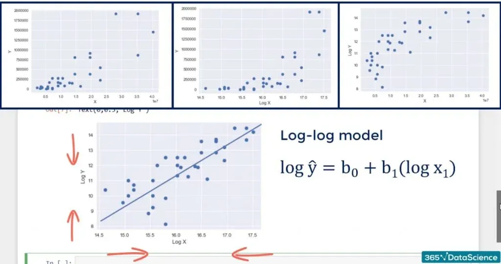 Example of log transformation: log-log model formula