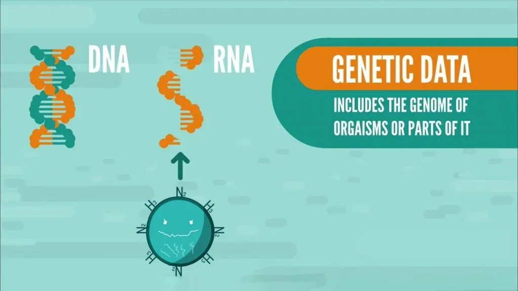 dna and rna