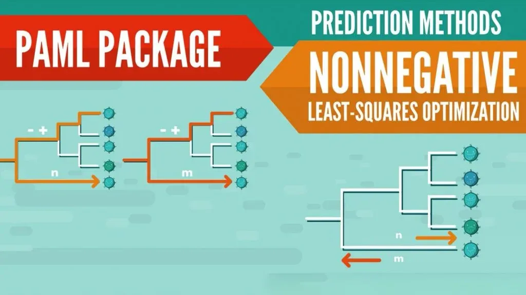 prediction methods, paml package