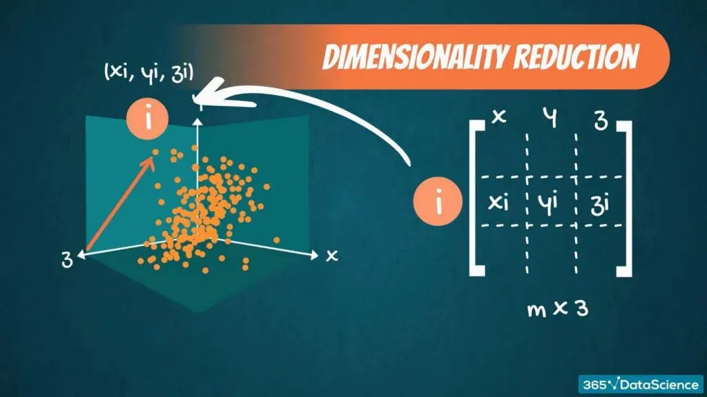 linear algebra, dimensionality reduction, xyz