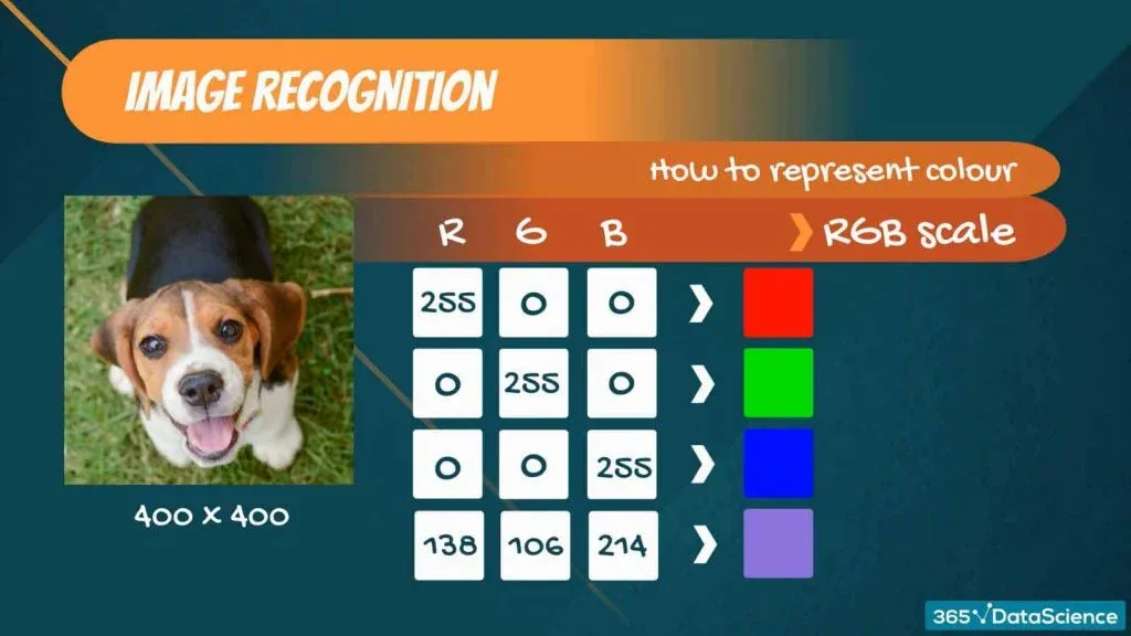 linear algebra, image recognition, color image