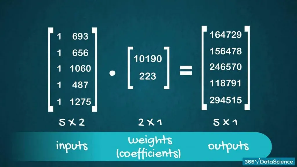 linear algebra, input, coefficients, outputs