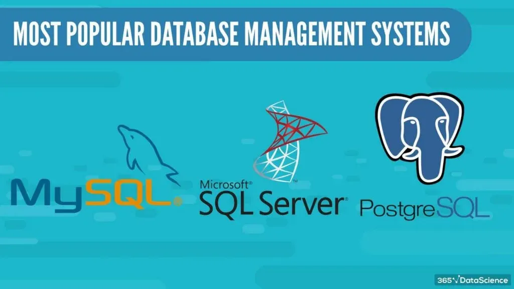 best database management systems