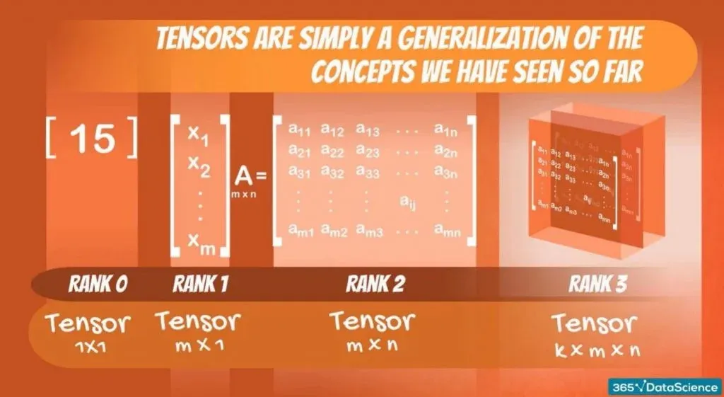 What Are Tensors? – 365 Data Science