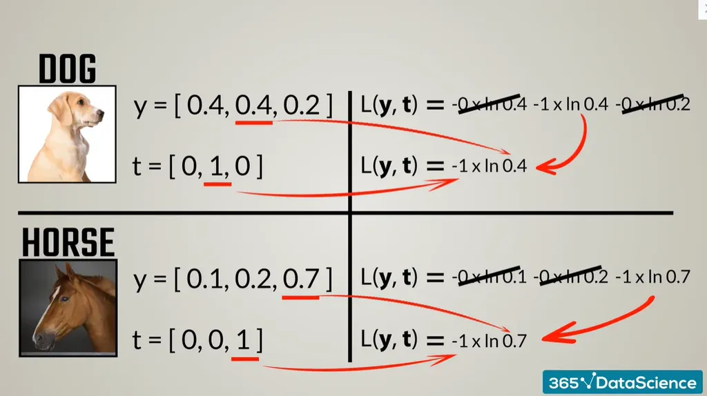 Cross-entropy loss: simplification of formulas