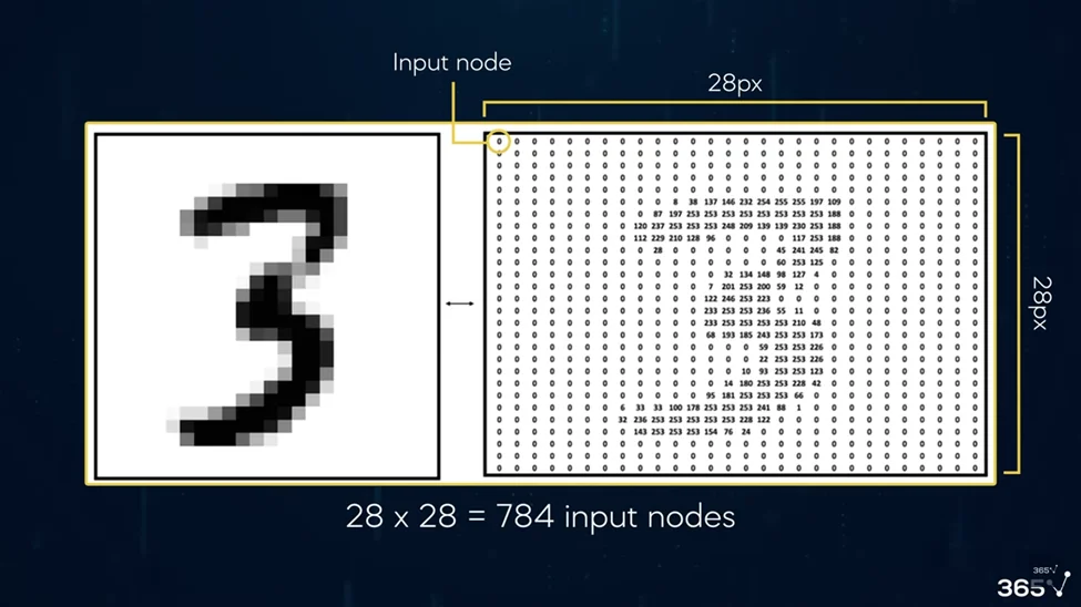 On a black background, there is a white box in the foreground. In the left part of the box, there is a handwritten number 3. In the right part, the number three is shown again but in a series of numbers indicating each pixel. Those pixels which were white are indicated as 0, while the darker the pixel the higher the number. Each pixel is an input node, and there are 28x28 pixels, giving a total of 784 input nodes. 