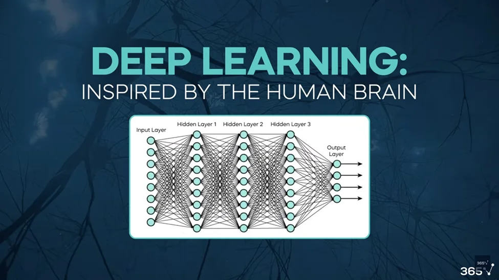 A dark blue background with a design that mimics neural networks in the brain. The title says: “Deep Learning: Inspired by the Human Brain”. Below the title, there is an image of a neural network, a series of dots in vertical columns connected by lines moving horizontally and diagonally across to create a sort of web between the input layer and output layer. 