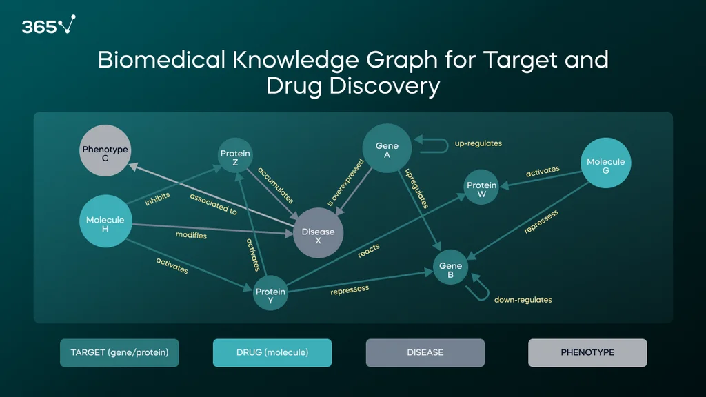 In this example, the nodes include targets (genes or proteins), candidate drugs (molecules), diseases, and phenotypes. The edges are depicted with semantic labels and arrows that show the direction of the relationship.