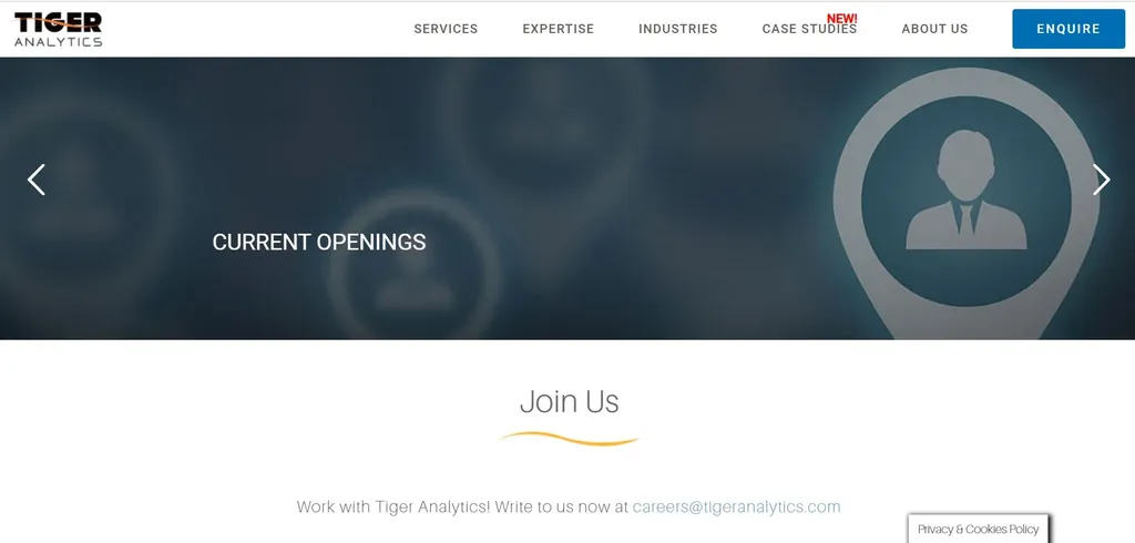 tiger analytics company career page
