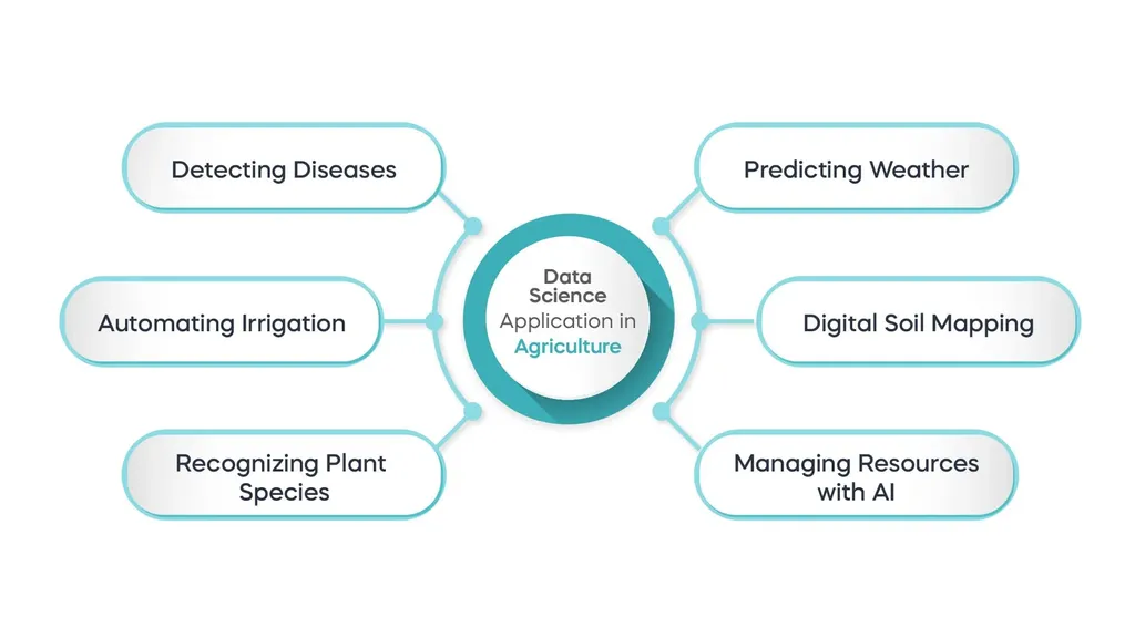 A mindmap showing the different applications of data science in agriculture - detecting diseases, predicting the weather, digital soil mapping, managing resources with AI, recognizing plant species, and automating irrigation.
