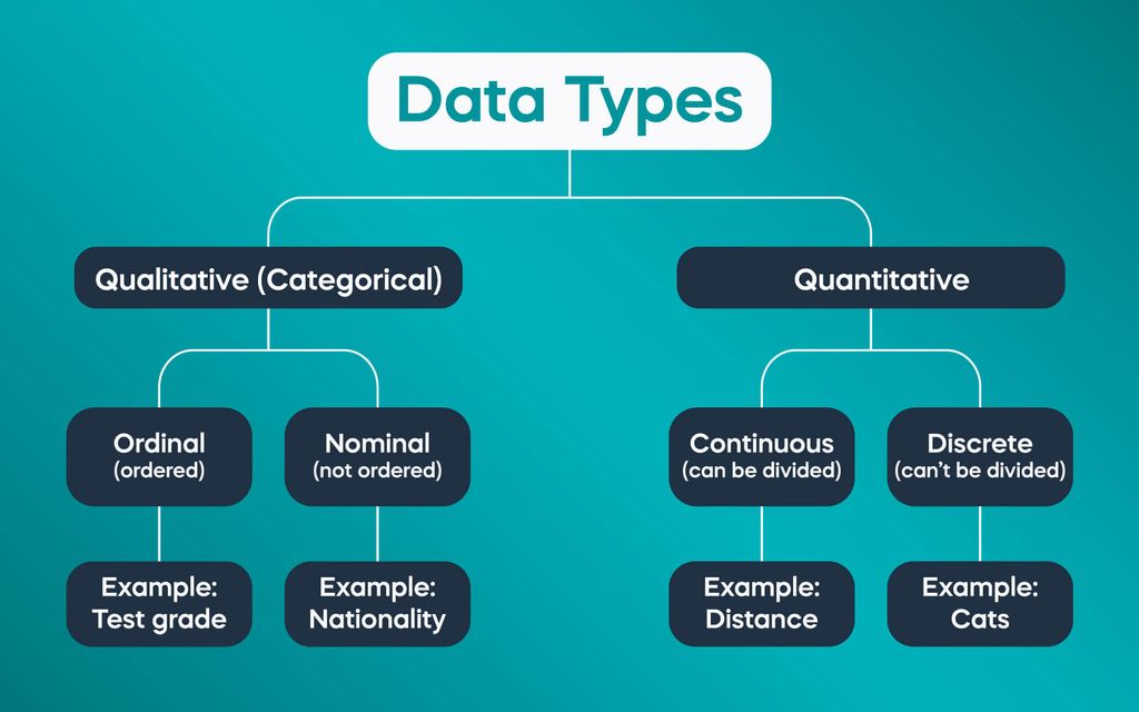 different types of data presentation in statistics