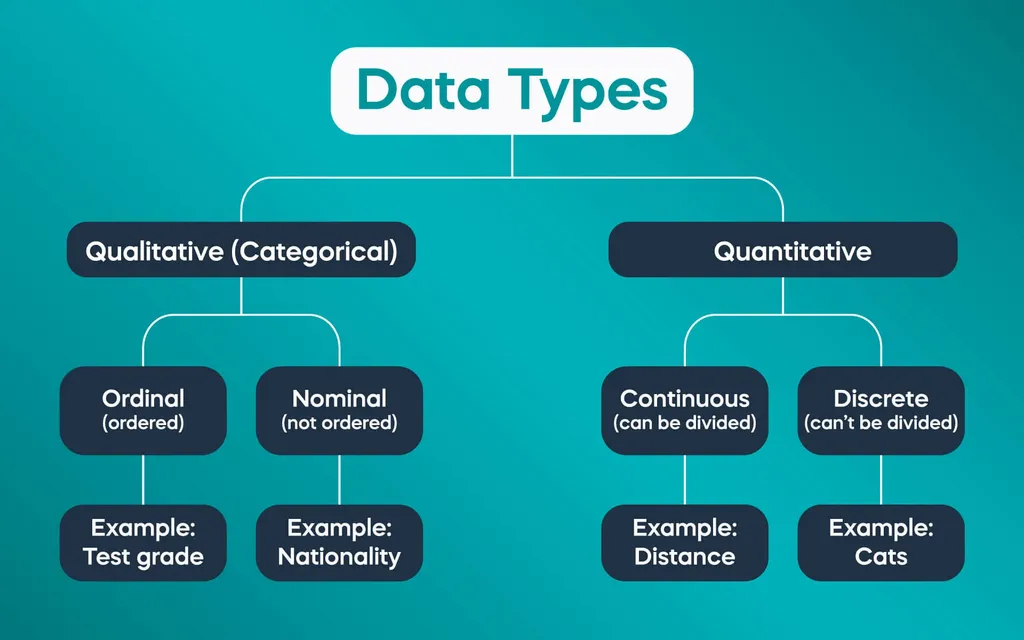 3 Categories Of Data Types