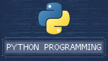 Python programming explained in 900 words