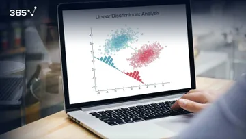 Overfitting vs. Underfitting: What Is the Difference?