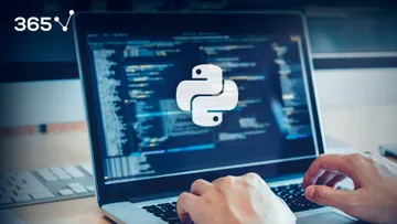 Why Learn Python in 2022?