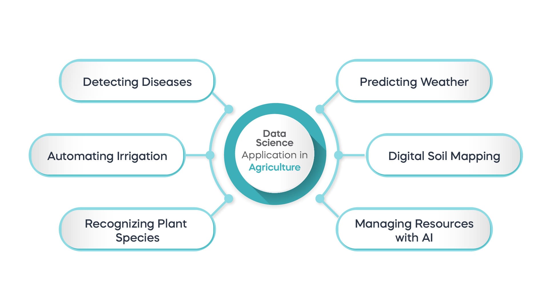 A mindmap showing the different applications of data science in agriculture - detecting diseases, predicting the weather, digital soil mapping, managing resources with AI, recognizing plant species, and automating irrigation.
