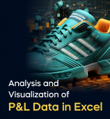 A woman with a laptop, with the text 'Analysis and Visualization of P&L Data in Excel Project' on the left side of the image