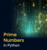 A woman with a laptop, with the text 'Prime Numbers in Python Project' on the left side of the image