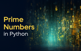 A woman with a laptop, with the text 'Prime Numbers in Python Project' on the left side of the image