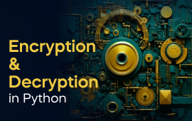 A woman with a laptop, with the text 'Encryption and Decryption in Python Project' on the left side of the image