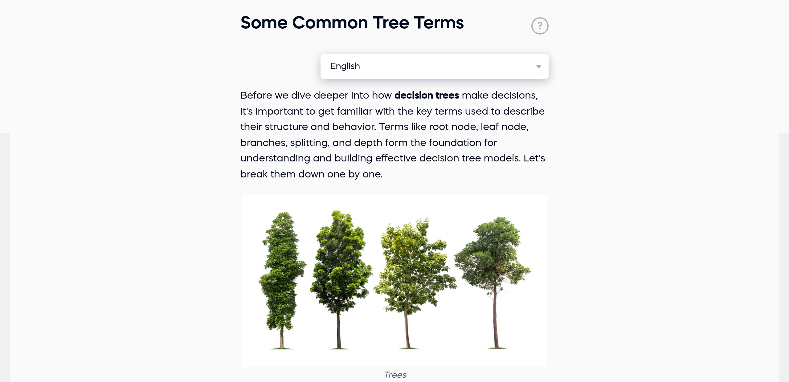 Some Common Tree Terms
