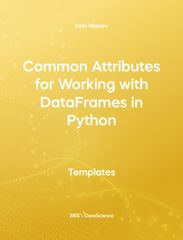 Yellow cover of Common Attributes for Working with DataFrames in Python. This template resources is from 365 Data Science. 