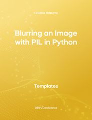 Yellow cover of Blurring an Image with PIL in Python. This template resource is from 365 Data Science. 