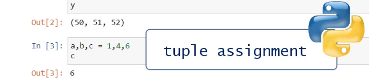 python tuple variable assignment