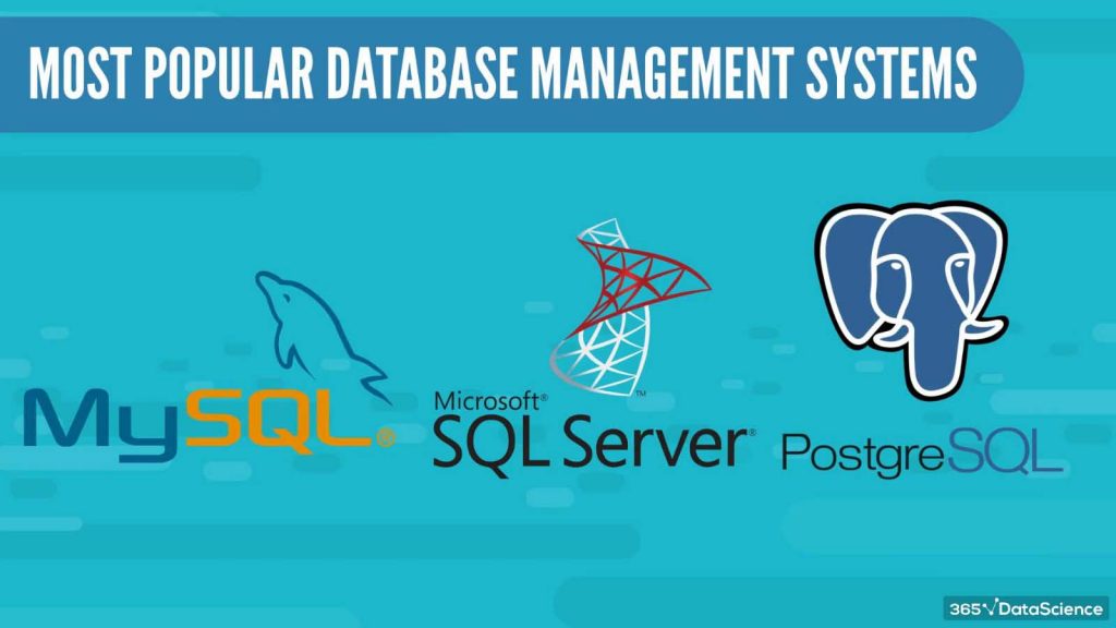 sql-developer best database management systems